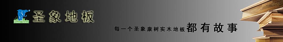 ʥ��ذ�̨��ר����