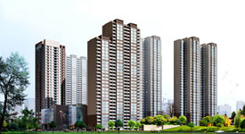 ���衤�����׸�